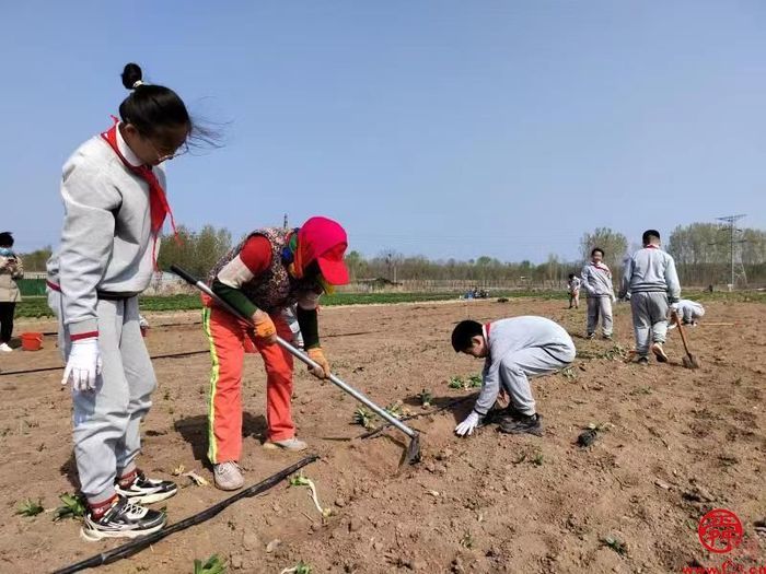 “一览槐荫好·中秋国庆欢游季”之“研”在槐荫