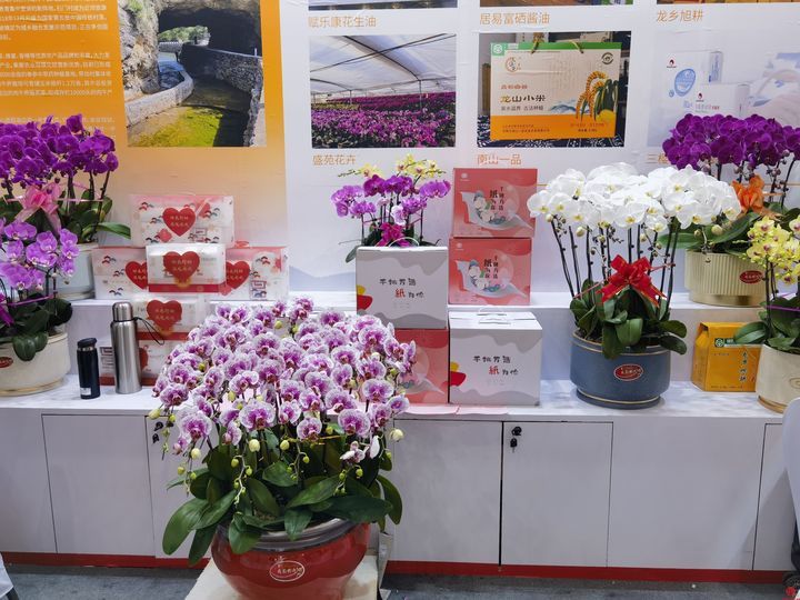 展官庄特色  促乡村振兴——2024章丘区特色产品展销推介会我们来了！