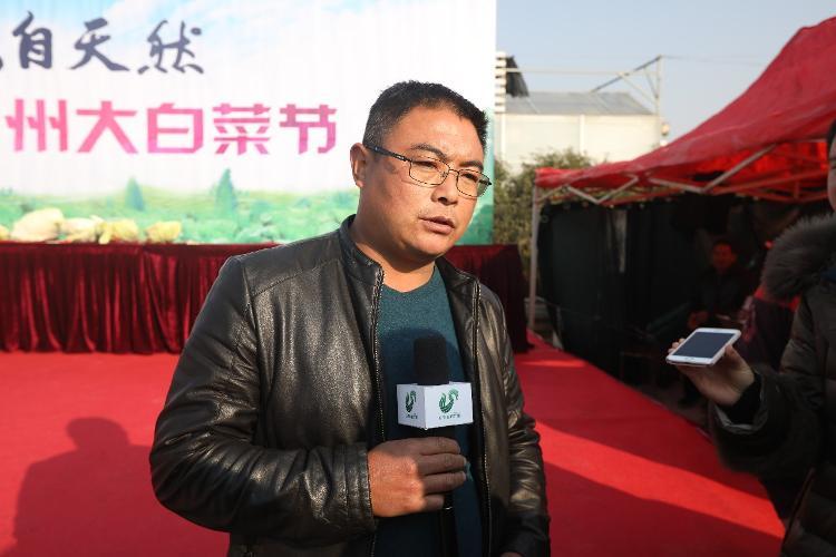 这就是山东丨胶州大白菜上台“比美” 棵棵都有“身份证”