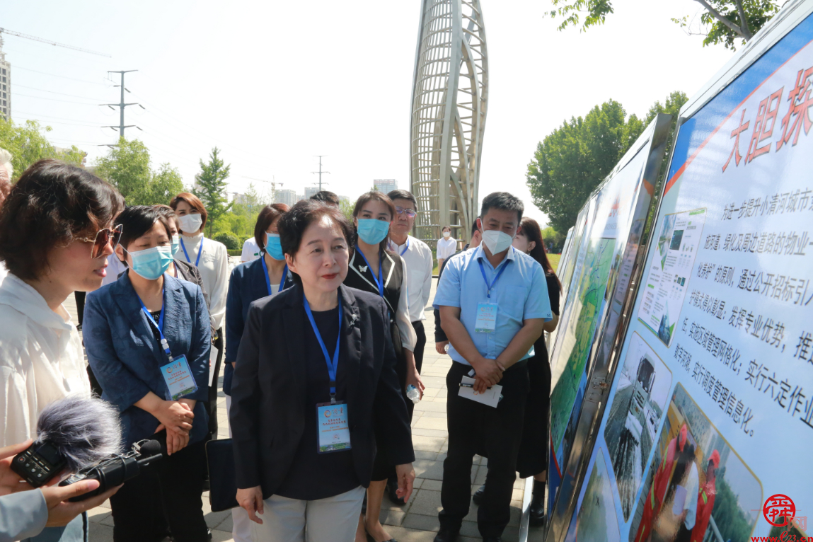 同商河湖美 共议水体清——市政协聚焦实施雨污分流工程开展现场商量