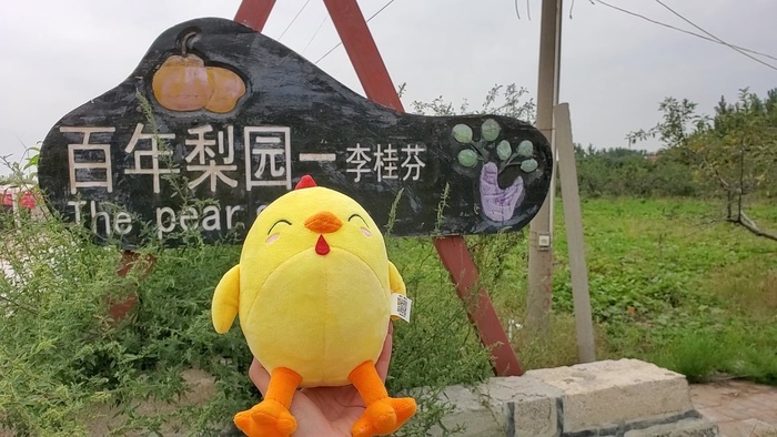 【花博看商河】花博会·线路 