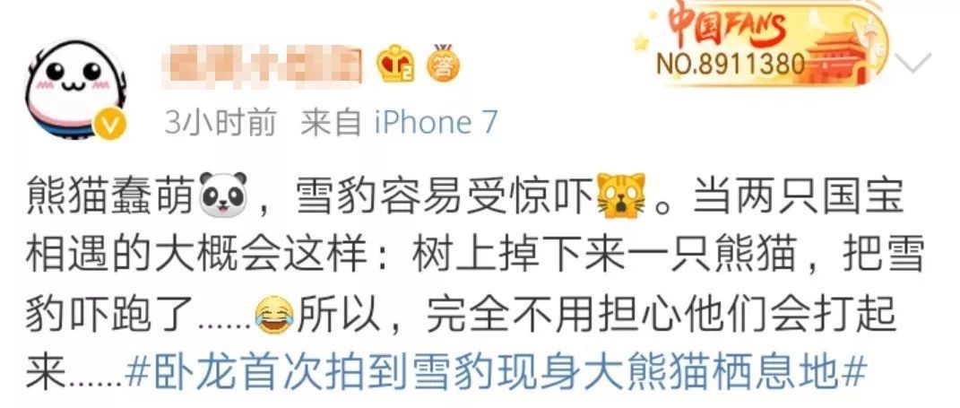雪豹遇上大熊猫？网友：这是“华山论可爱”
