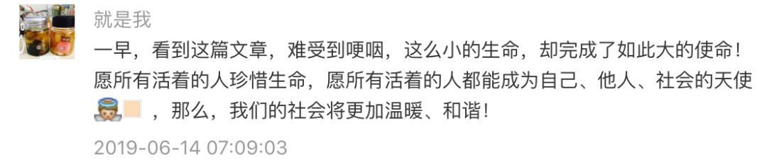 感动全城！泪别青岛7岁器官捐献男孩和和，谢谢你来人间走一趟