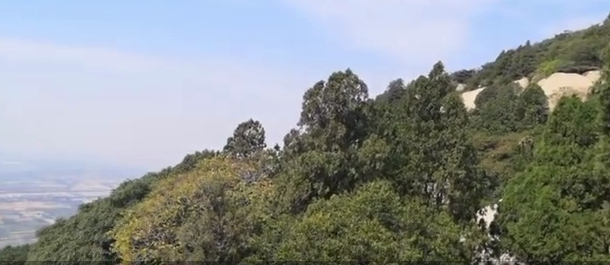 国庆假期已开启“人人人我人人人”模式，你那里人多吗？来跟记者畅游山东吧