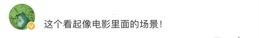 上海东方明珠塔被闪电击中？网友热传，官方发声：真没“亲吻”到