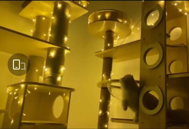 港媒曝章子怡北京2亿豪宅内景|【贫穷限制了想象】港媒曝章子怡北京2亿豪宅内景曝光 壕到难以想象