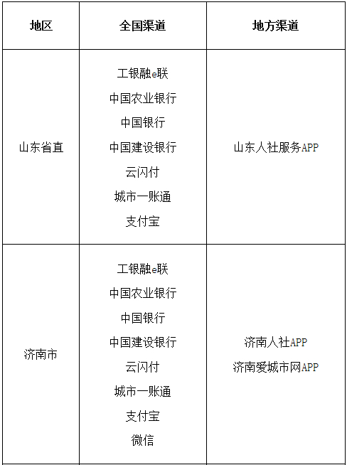 济南市人口查询系统_济南市监控系统示意图(3)