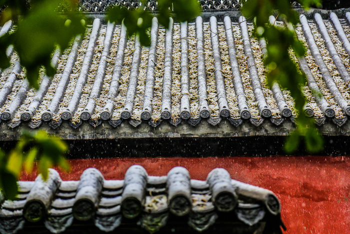 济南的冬天：雪花落在泉水里 全是诗情画意