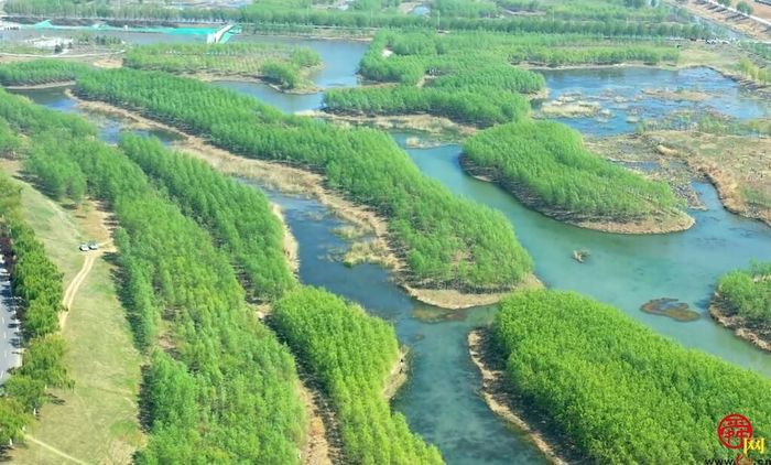 【飞阅泉城】自然湿地风光好云踏青带您领略小清河源头湿地