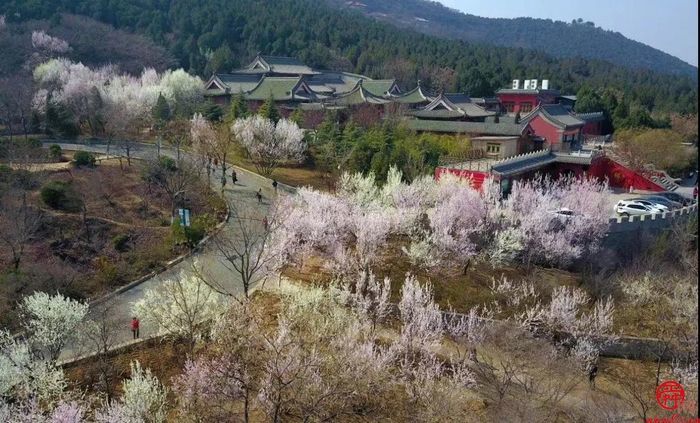 仅剩一周！健康山东 粉动泉城——2023山东(济南)首届粉红公益跑持续报名中