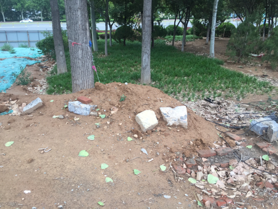 【啄木鸟在行动】经十路南侧林家庄公交站附近渣土覆盖不全