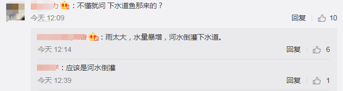 笑喷！暴雨过后的广州，路人班都不上当街捕鱼