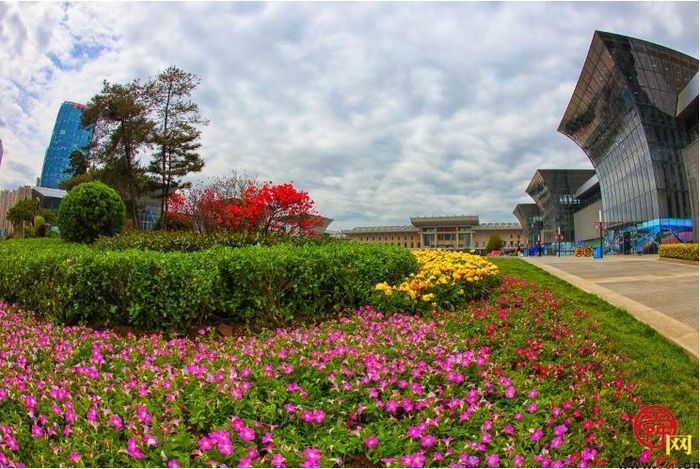 【图集】槐荫变花园 近30万盆花卉吐芬芳