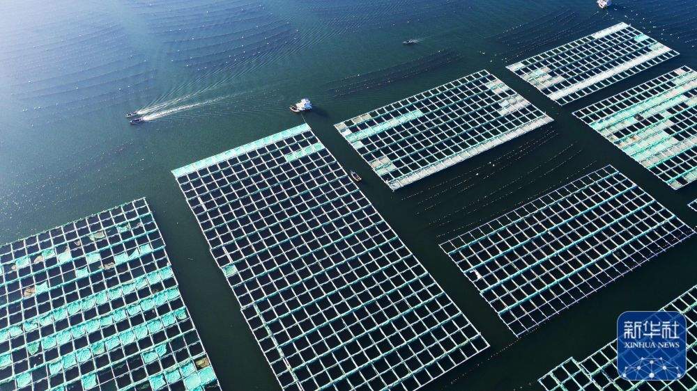 灞变笢鑽f垚锛氭捣涓娾€滅鑰曗€濆浘