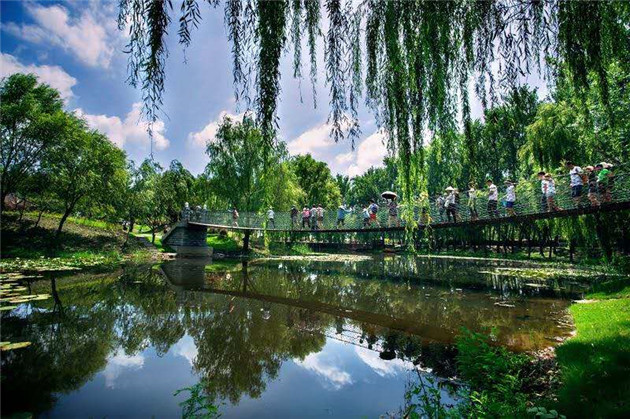 征集令来啦！山东优质文化旅游产品征集今日启动