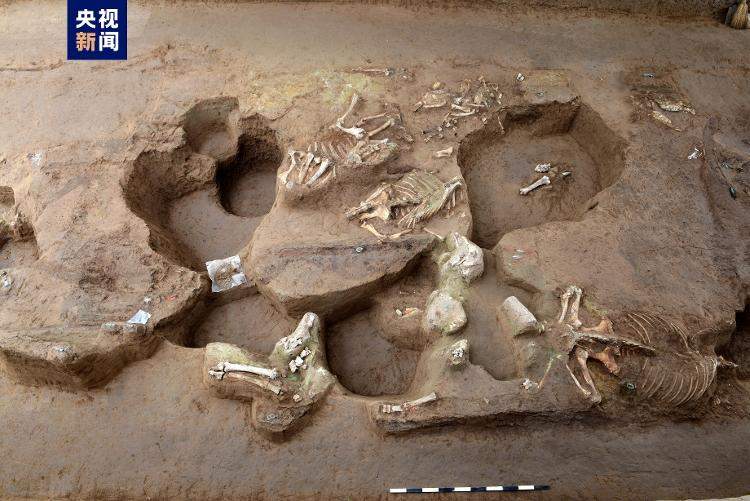 “帝国第一陪葬墓”秦始皇帝陵1号陪葬墓取得重大考古收获