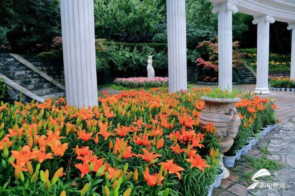 免票入园!济南这个4A景区化身花海 还有这些地方少去一个都可惜