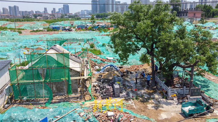 济南丁家庄片区拆除保留古树老建筑 重新修缮将成新景观