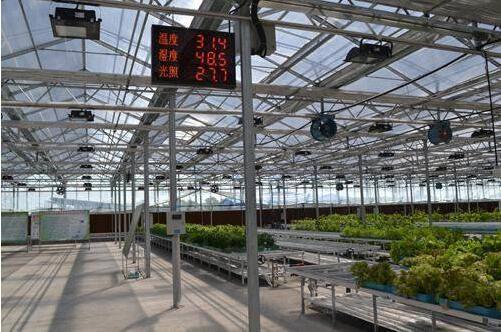 日供武汉2000吨蔬菜，网友纷纷为寿光点赞！