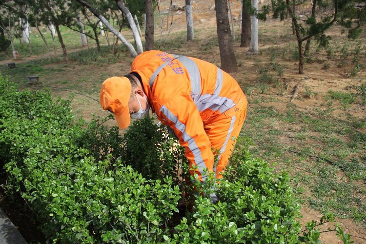 扮靓城市家具，提升城市品质，济南城管掀起爱国卫生运动热潮，干干净净喜迎五一