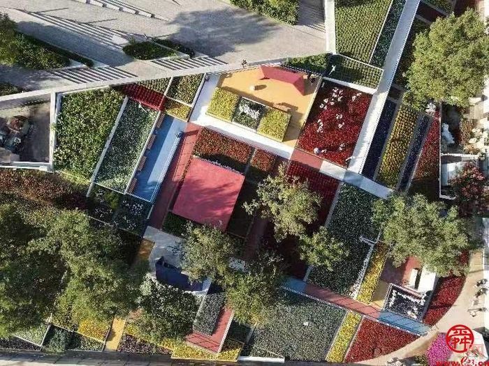 槐荫半马倒计时4天｜玫瑰盛开百合香，最美赛道打造文旅新IP