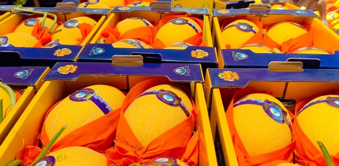 济南东方有一“神仙瓜”，皮薄多汁、清甜起沙…浇灌黄河水的它让你甜掉牙