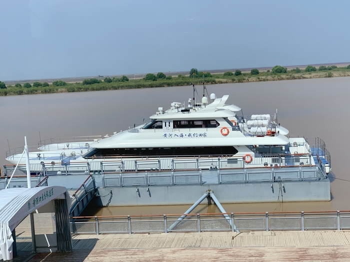 【在习近平新时代中国特色社会主义思想指引下】吸引更多生物来安家在黄河入海处看到“天然”