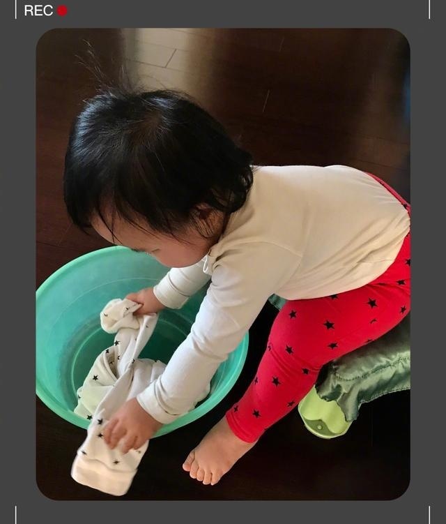 朱丹晒女儿背影照 侧颜呆萌可爱 菜地拔萝卜画风可爱
