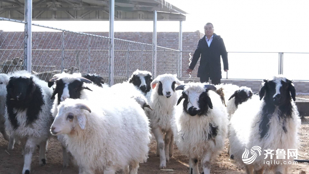 鲁蒙温情暖草原 结对书记再访嘎查脱贫户