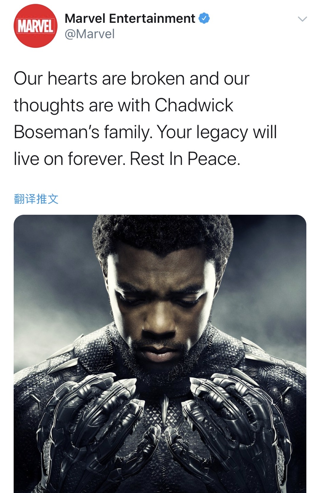 0482a88e8d07487b5b046dcee0a847c9