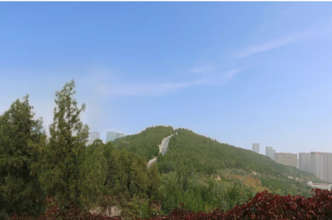 这些打卡地已加入“济南地铁3号线套餐”！假期游玩攻略来了