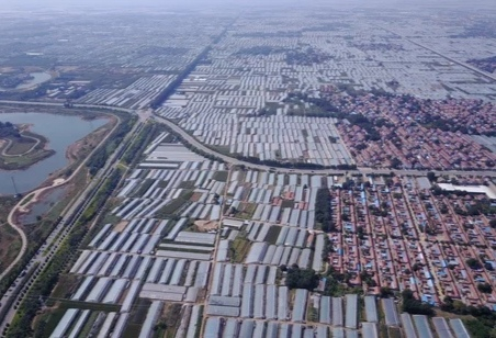 日供武汉2000吨蔬菜，“宇宙寿光”是怎样炼成的？