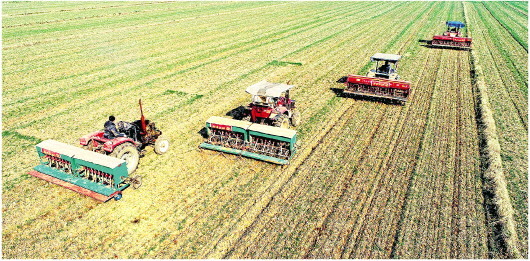 “防”疫情“攻”生产的山东担当丨大众日报一周图片精选