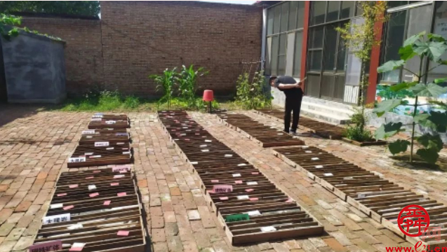 山东省地矿局一院弘扬“五四”精神展现青春风采