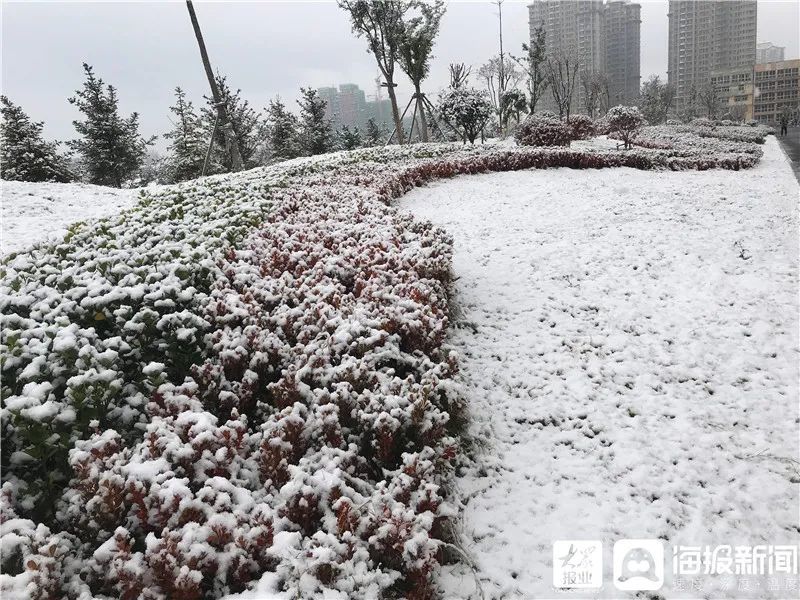 冷冷冷！山东这里下雪了！下周这些地方也要下