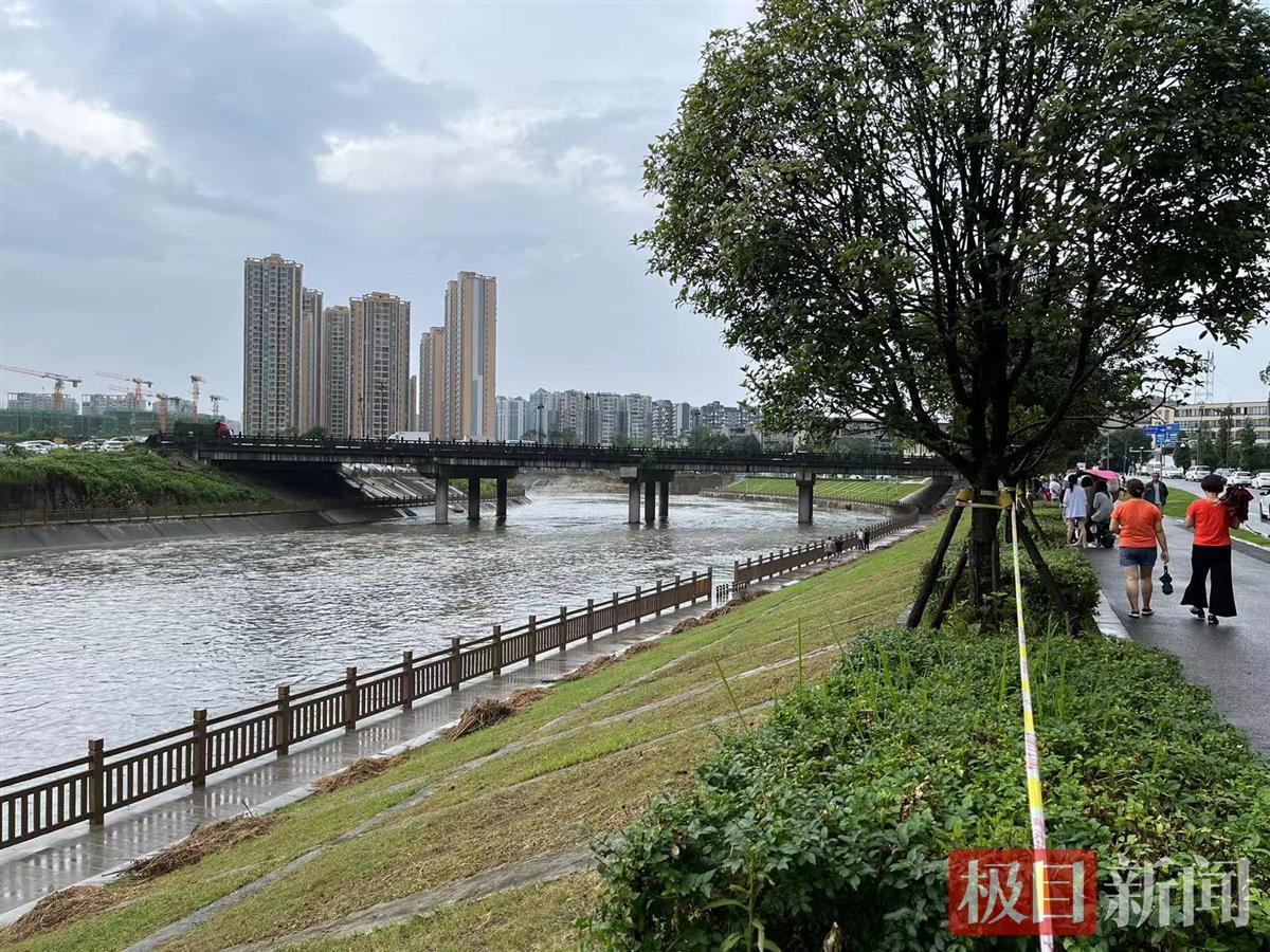 少年疑被误导下河救狗溺亡：系独子，律师称其行为构成见义勇为