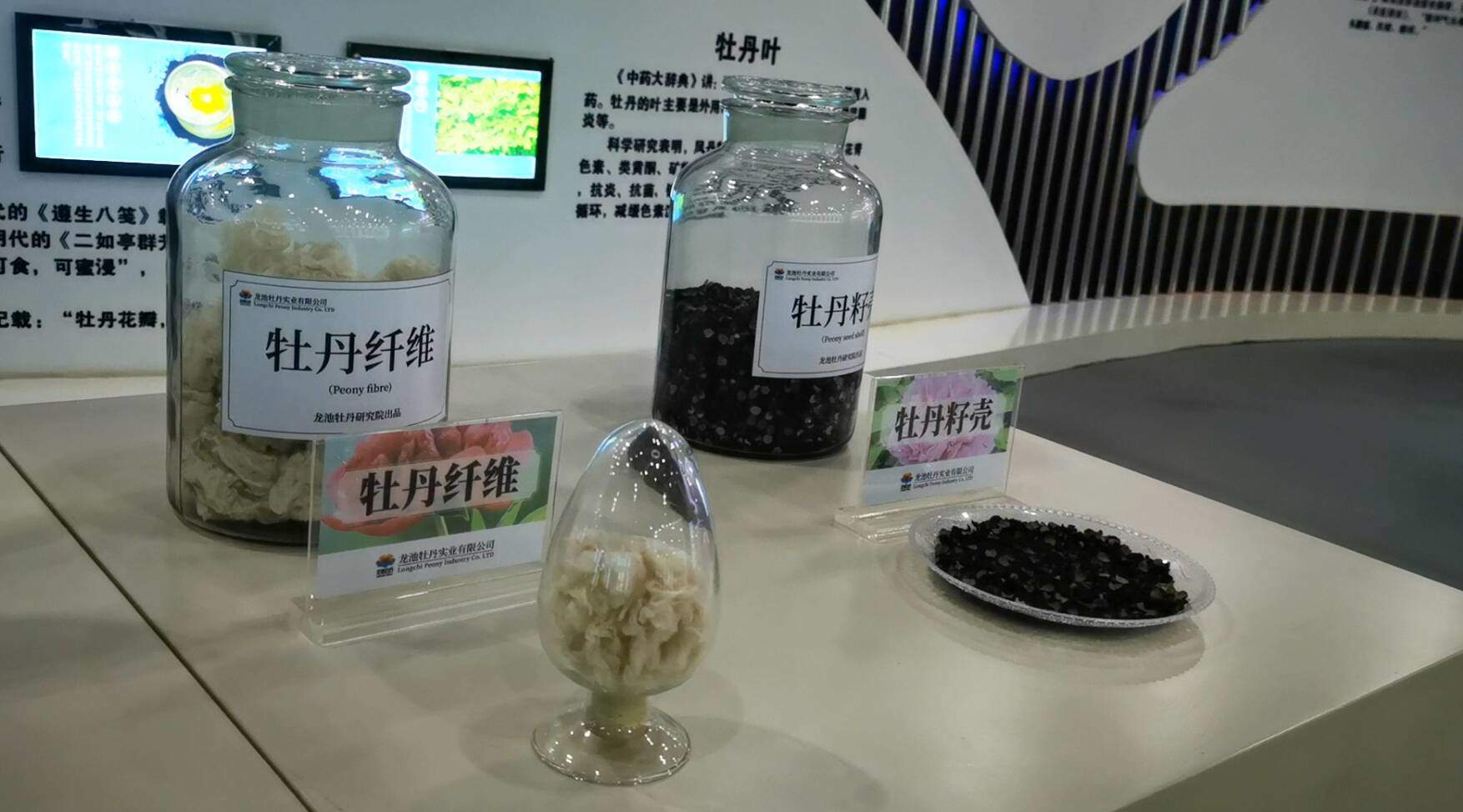 沿着黄河看发展 