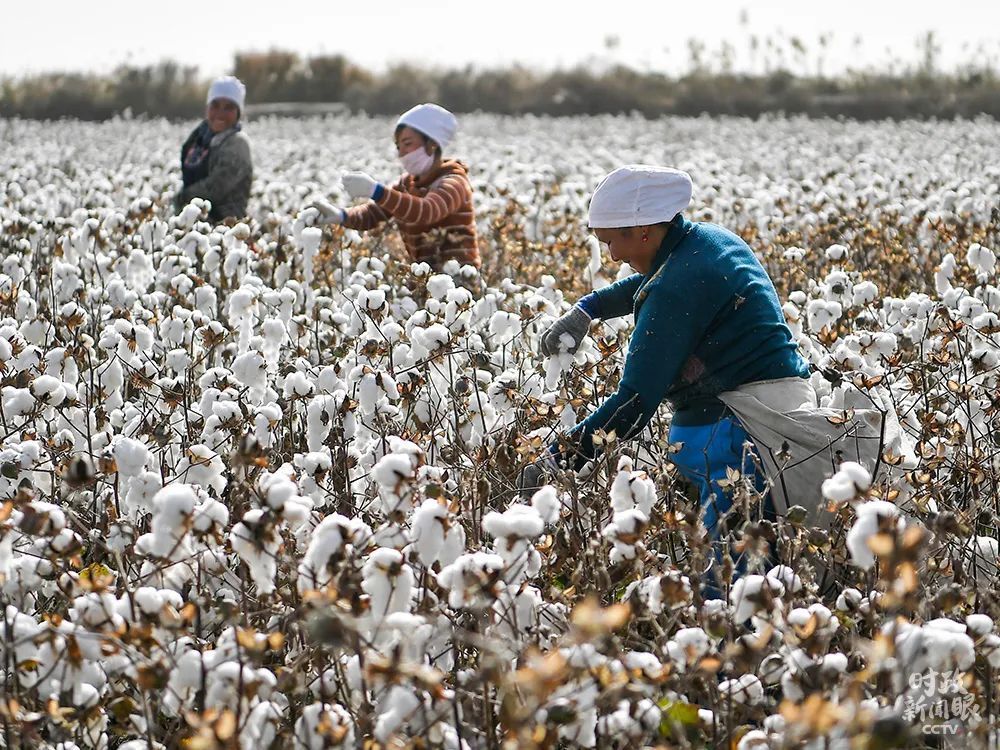 第三次新疆座谈会，习近平这样阐释新时代党的治疆方略