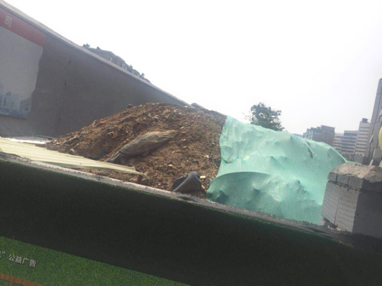 【啄木鸟在行动】二环东路与解放路交汇处西南角渣土覆盖不全