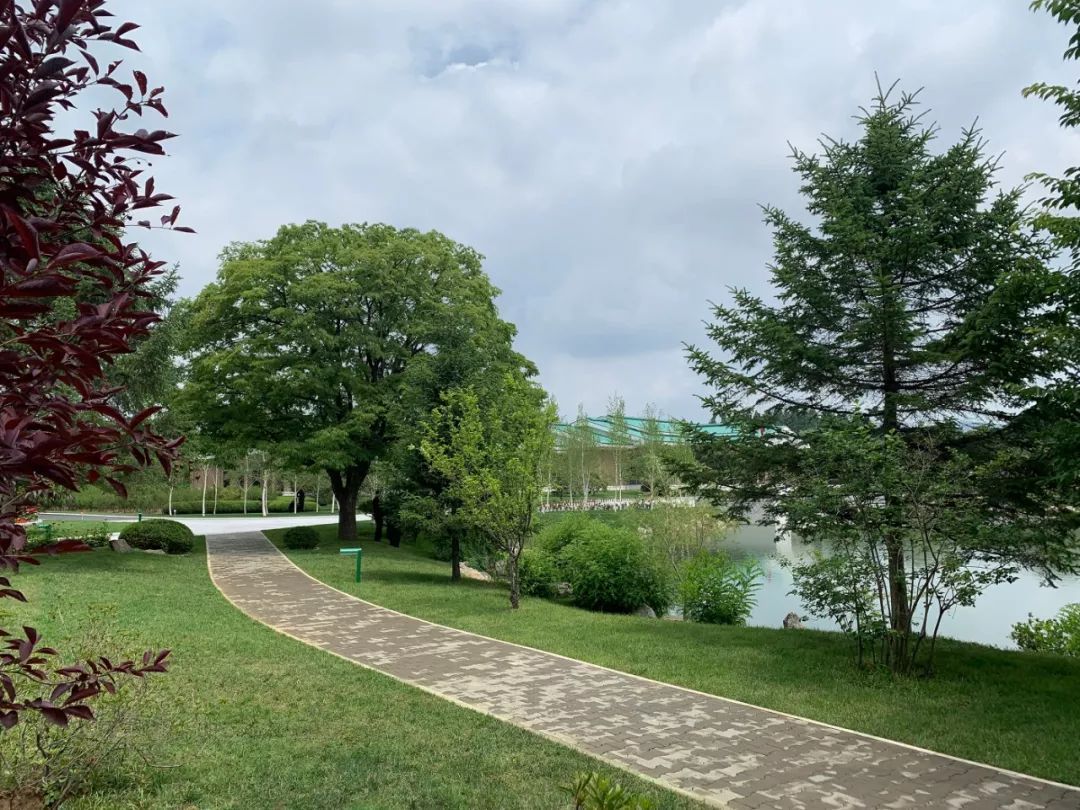 中朝历史性互访，习近平表达“三个坚定支持”