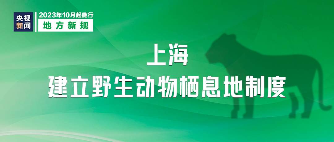 重要通知！明天起施行！严禁……