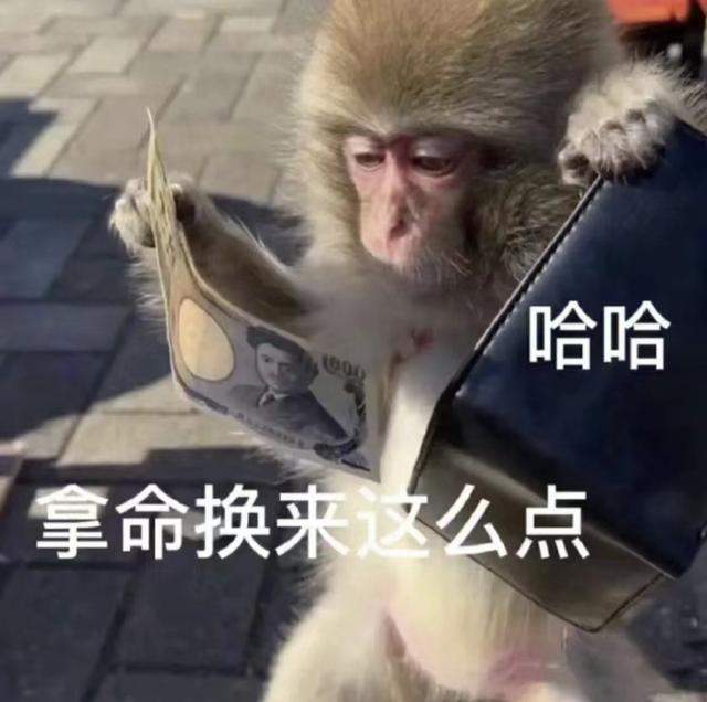 一夜之间“吗喽”占领了年轻人的生活圈 来自何方？