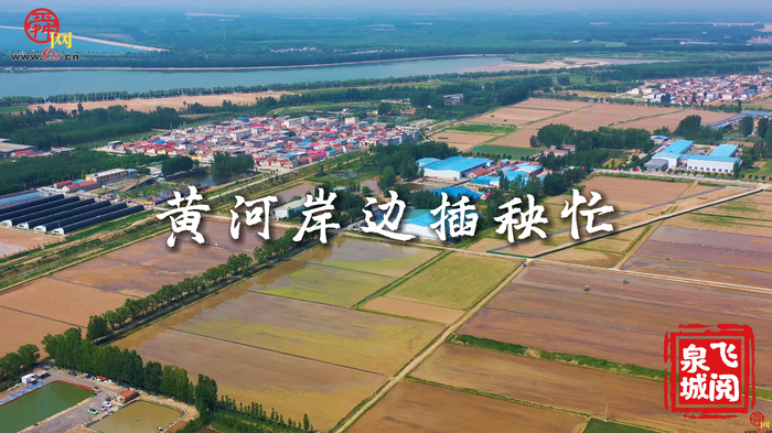【飞“阅”泉城】小满节气 黄河岸边插秧忙