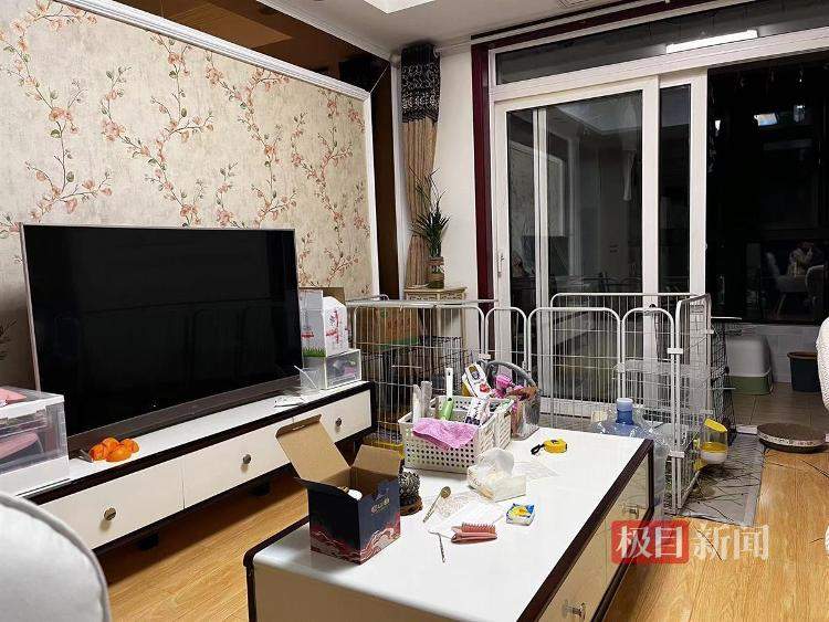 住不进校内的专硕生:有人一年房租是学费的三倍