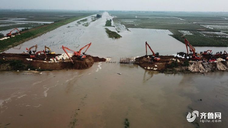 多台重型机械合力作业！航拍寿光弥河堤坝修复实况