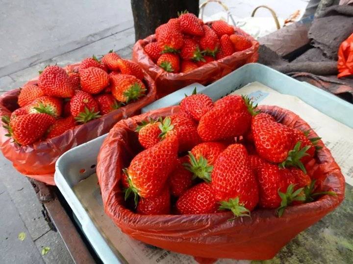 【网络述年】二十七，赶大集！济南这里的年味，怎一个浓字了得！