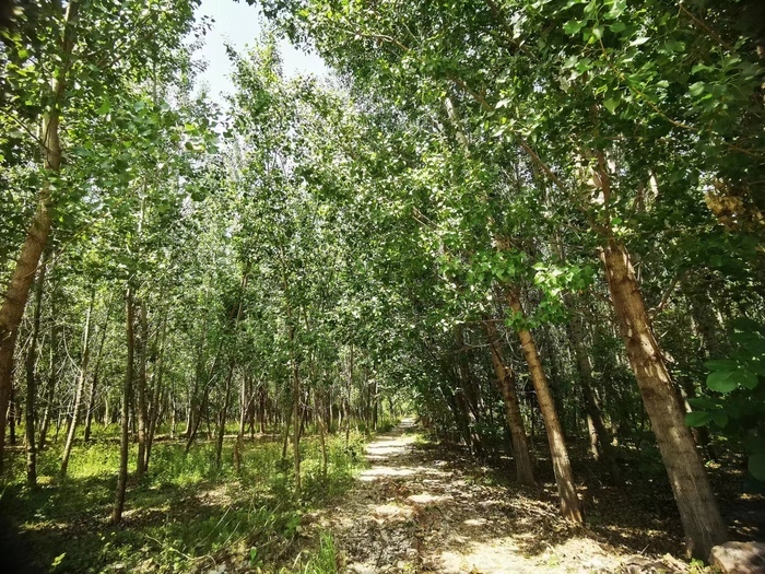 本周气温持续回升，12日山东中东部地区局地再迎雷雨或阵雨