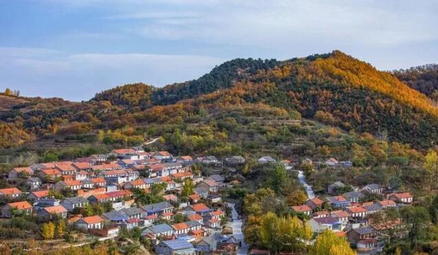 这就是山东丨初冬的日照，竟然也美得不像话……