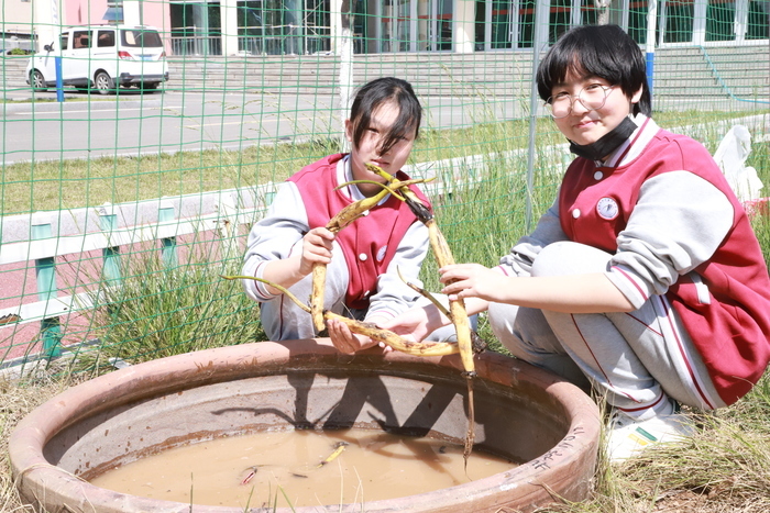 “荷”你有个约会！高新区遥墙中学举行校园荷花节