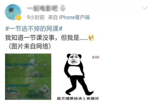 笑到打嗝！鸡在网课上打鸣结果被宰了！老师：有事好商量啊